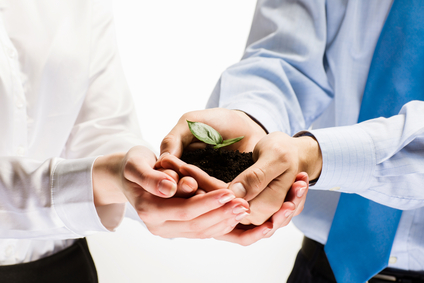 产品生命周期管理